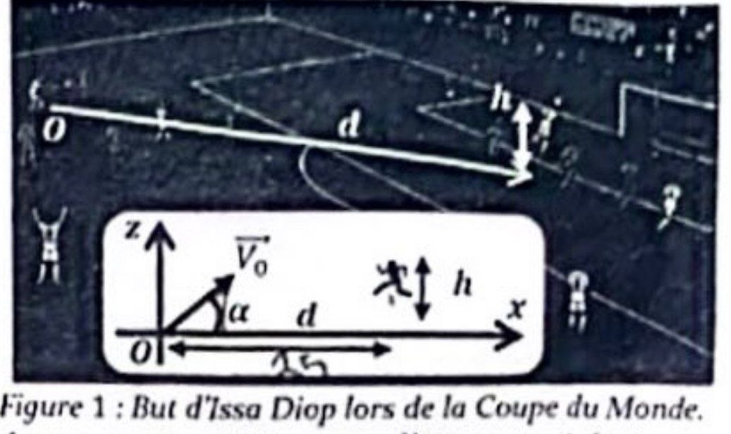 Figure 1 : But d'Issa Diop