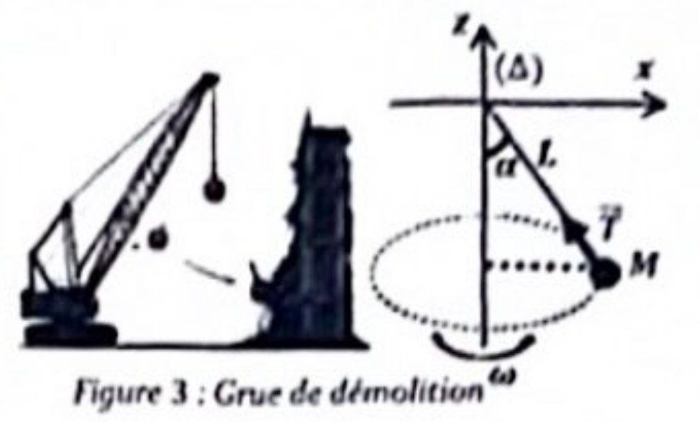 Figure 3 : Grue de démolition