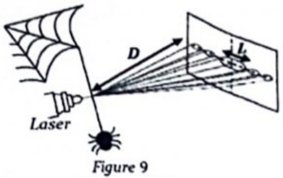 Figure 9 : Toile d'araignée