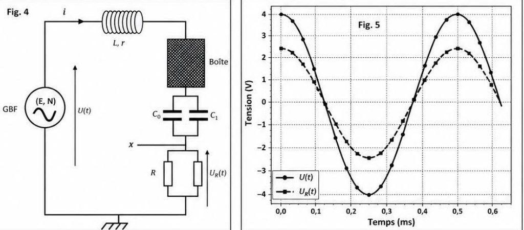Figure 4 et 5 : Régime forcé