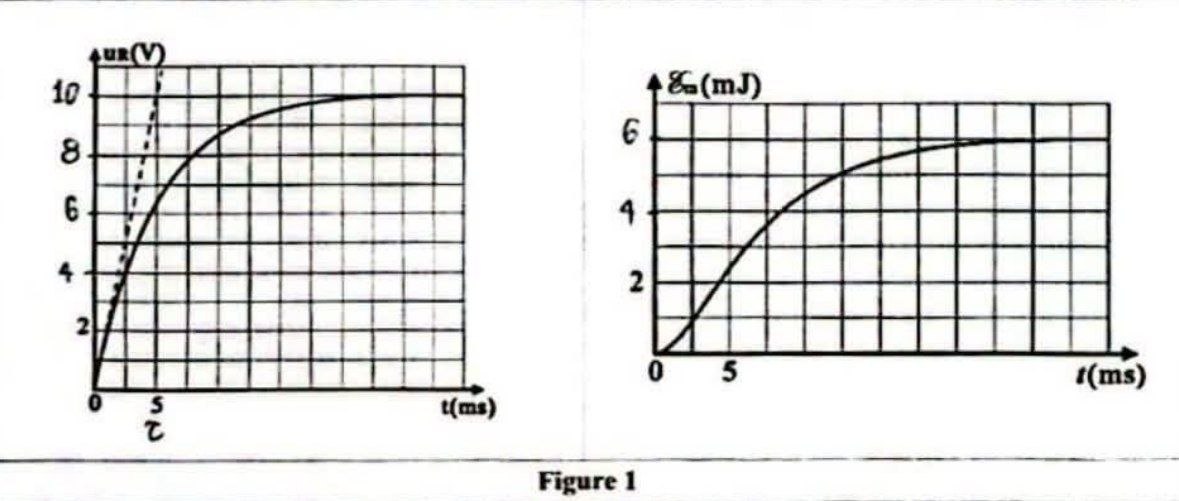 Circuit RL