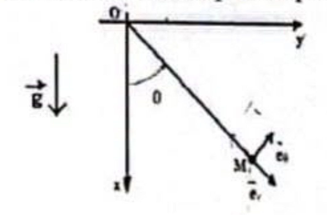 Figure 1 : Pendule simple