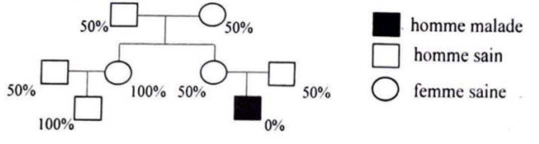 Pedigree