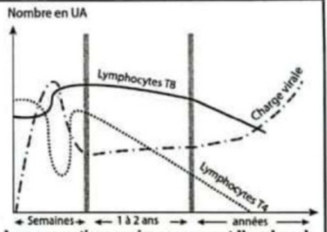 Graphique VIH