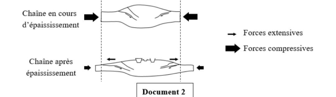 Document 2 - Schéma des forces tectoniques