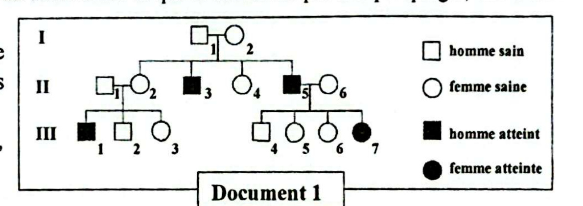 Document 1 - Arbre généalogique