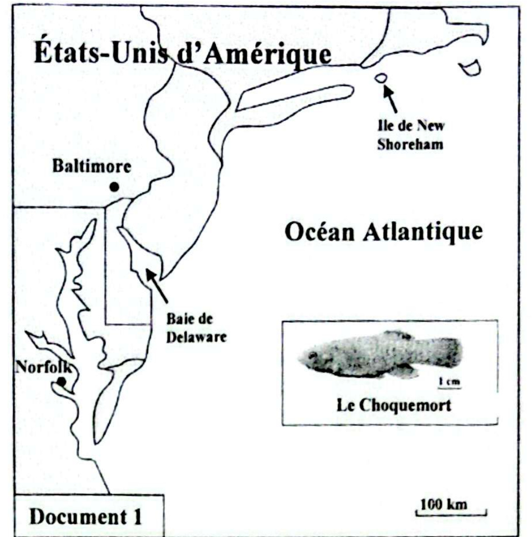 Document 1 - Carte des zones A et B