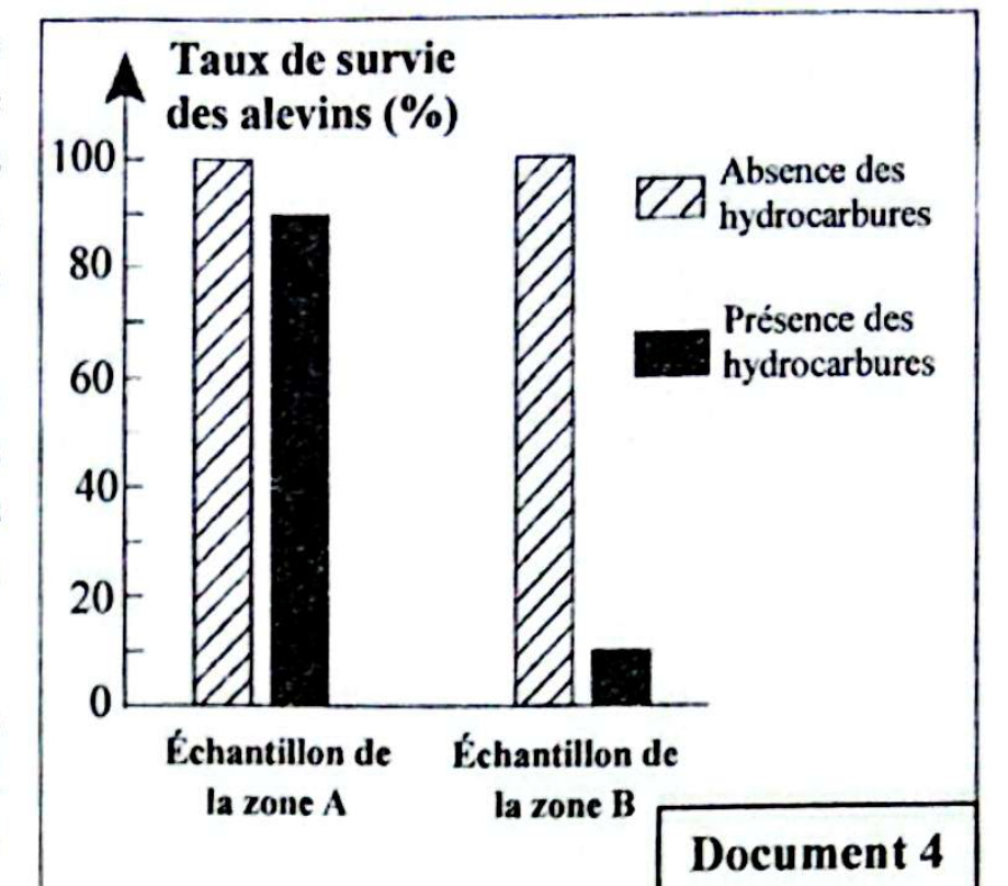 Document 4 - Taux de survie des alevins
