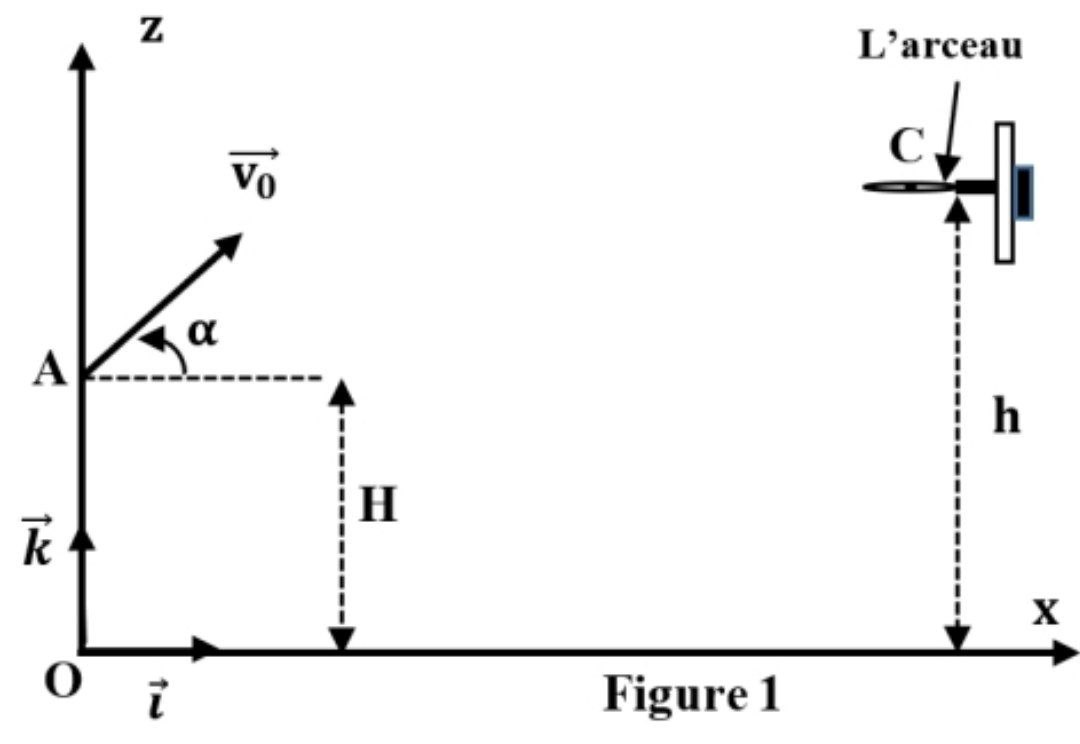 Figure 1 : Tir au basket-ball