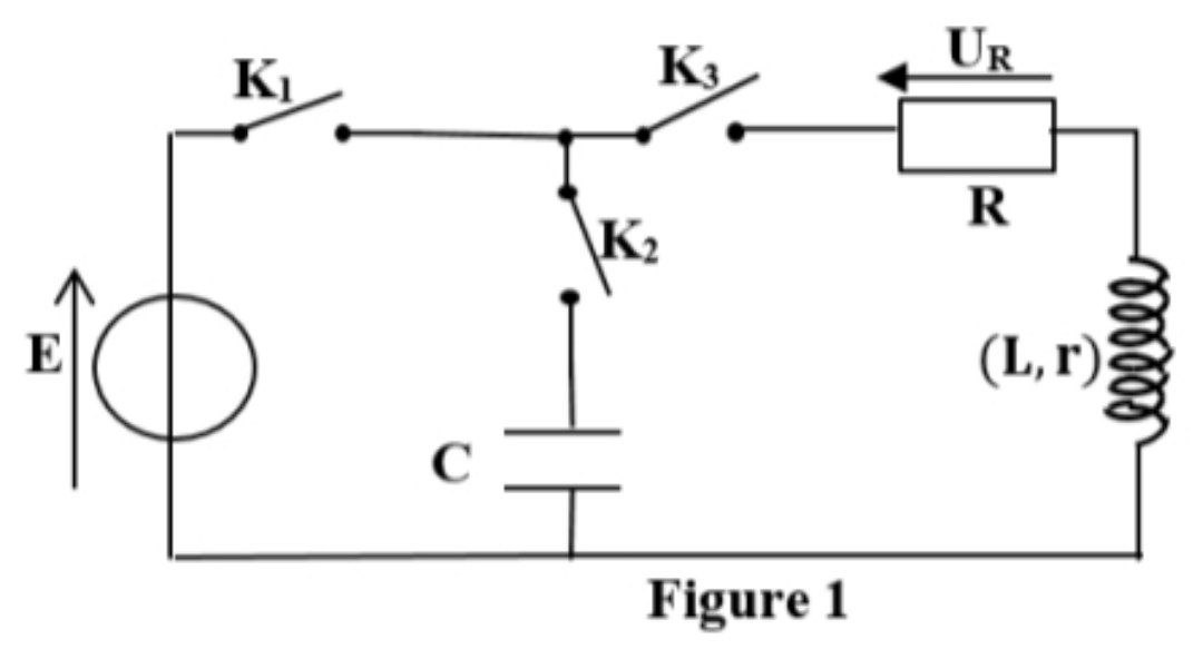 Figure 1 : Montage électrique RL/RC