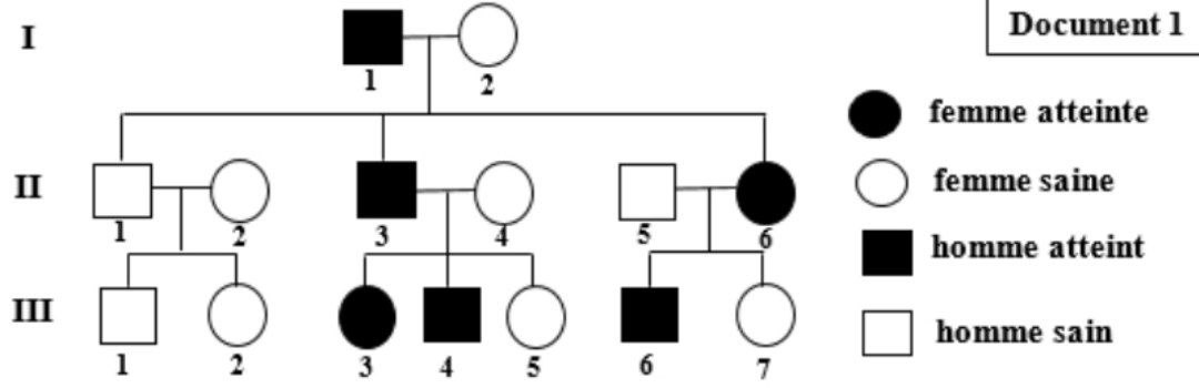 Document 1 : Arbre généalogique Syndrome de Marfan