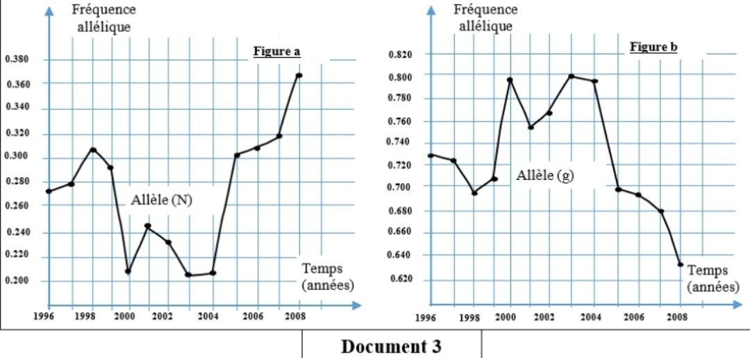 Document 3 : Variations des fréquences alléliques (N) et (g)