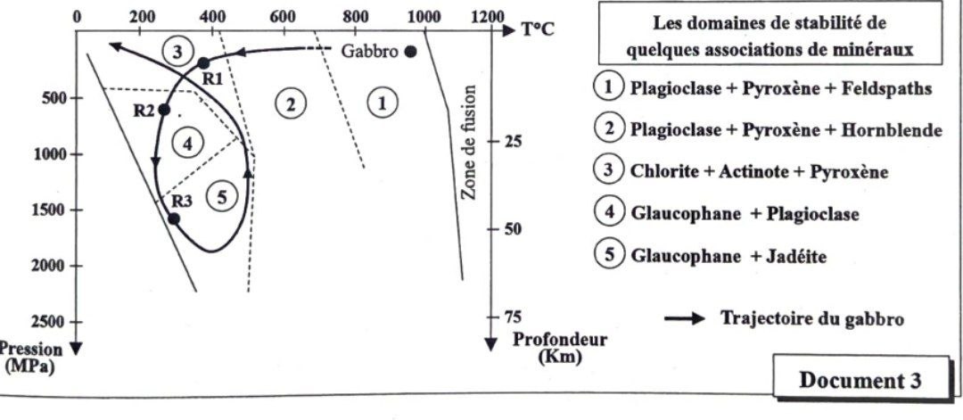 Document 3 : Diagramme P-T
