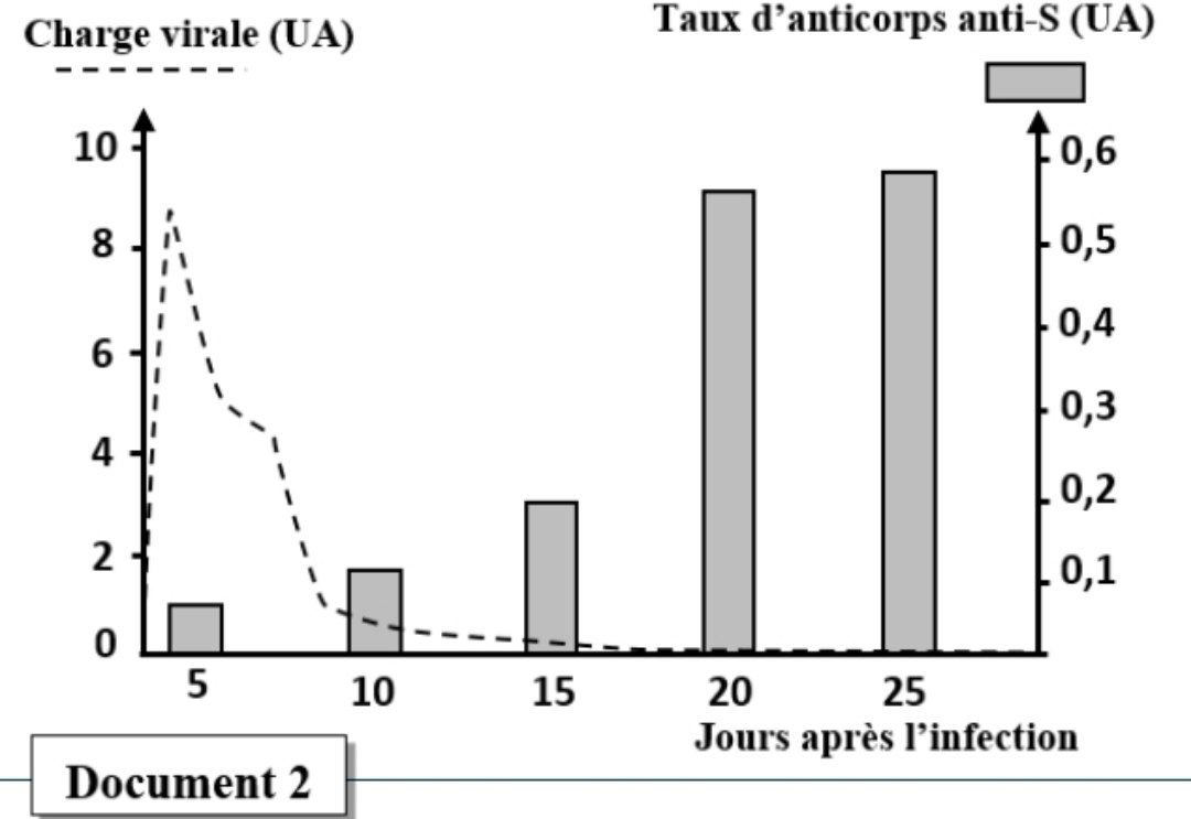 Document 2 - Charge virale et taux d'anticorps